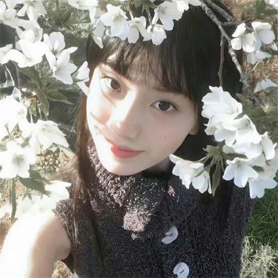 吉什岛的故事