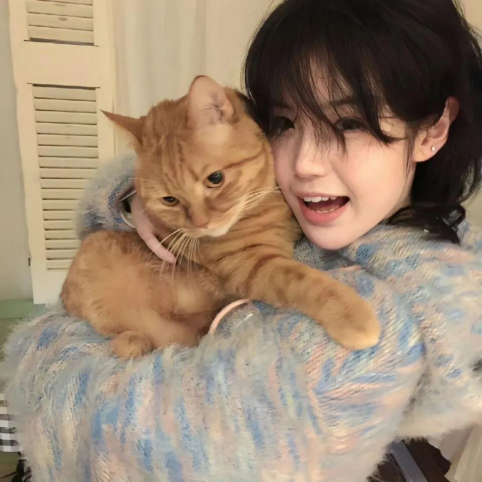 六个说谎的大学生